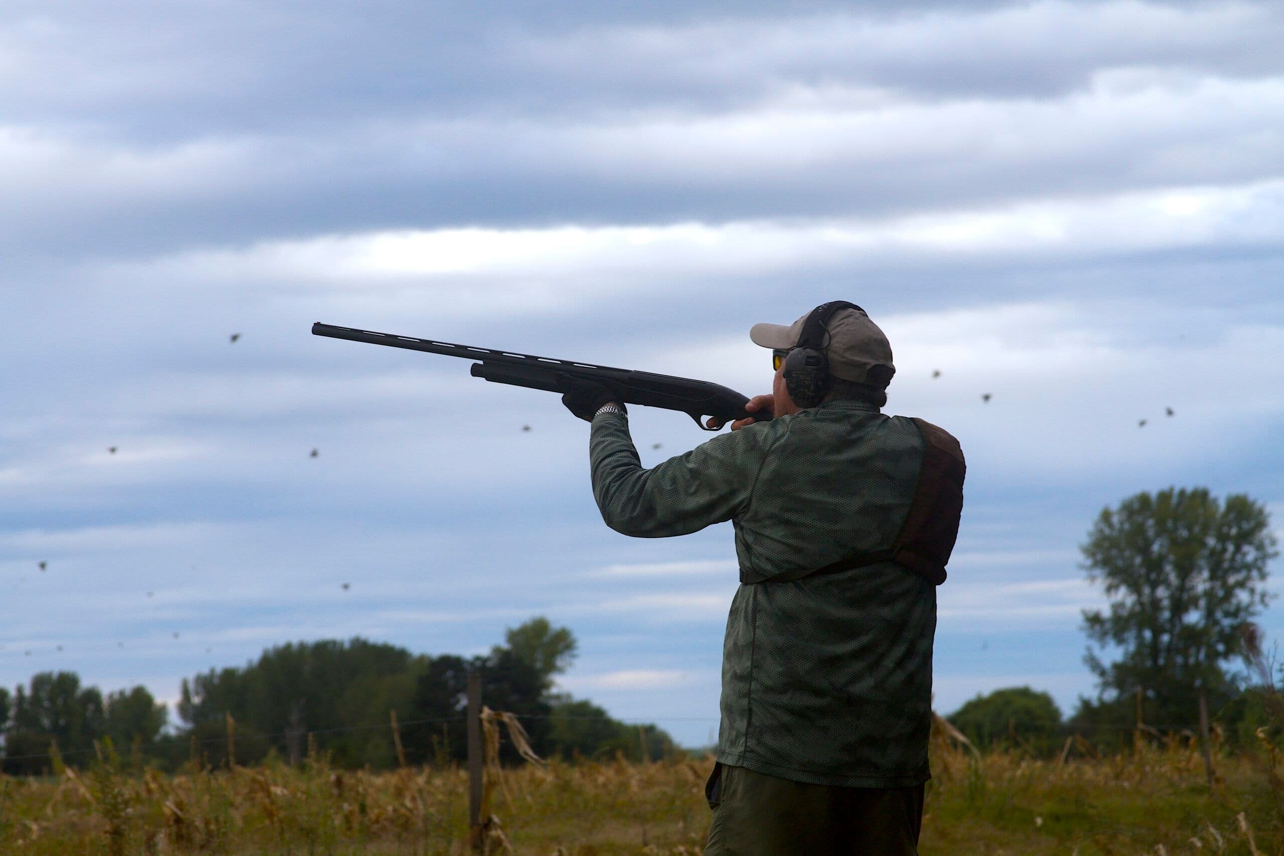Wing Shooting