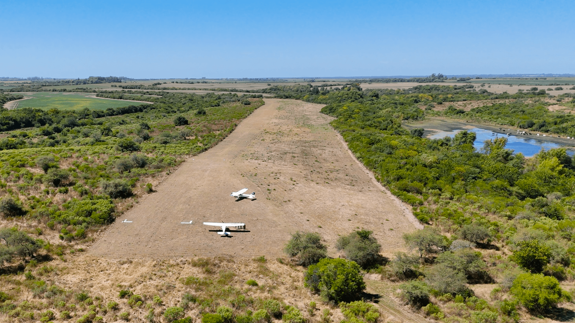 Two planes on the grass strip